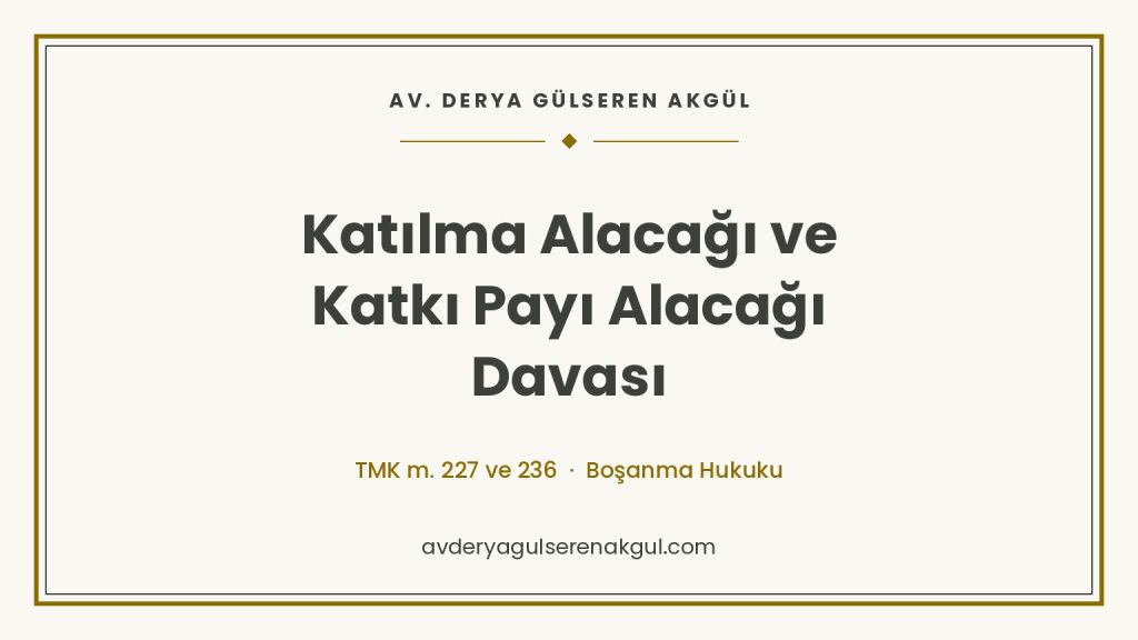 Katılma Alacağı ve Katkı Payı Alacağı Davası kapak görseli