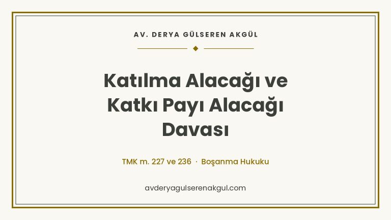Katılma Alacağı ve Katkı Payı Alacağı Davası kapak görseli